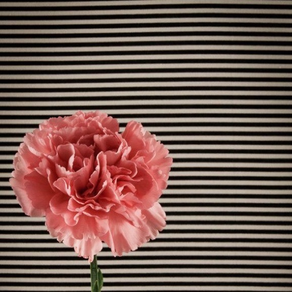 Meet your Posher, Kailey - Picture 1 of 1